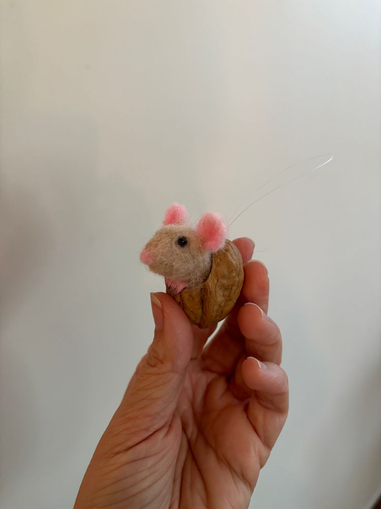 Mouse in a walnut 